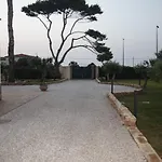 Albamonte