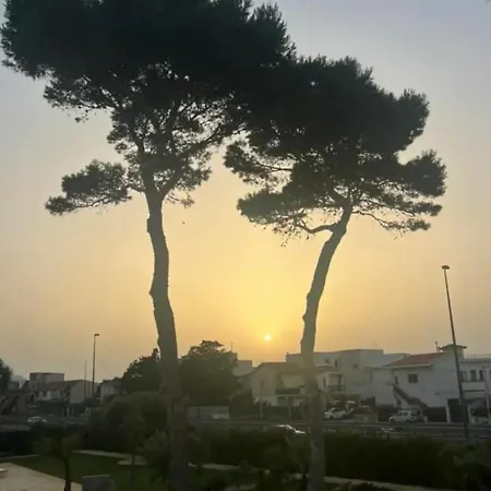 Albamonte Apartman *