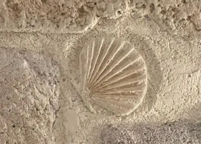 Albamonte * Carini