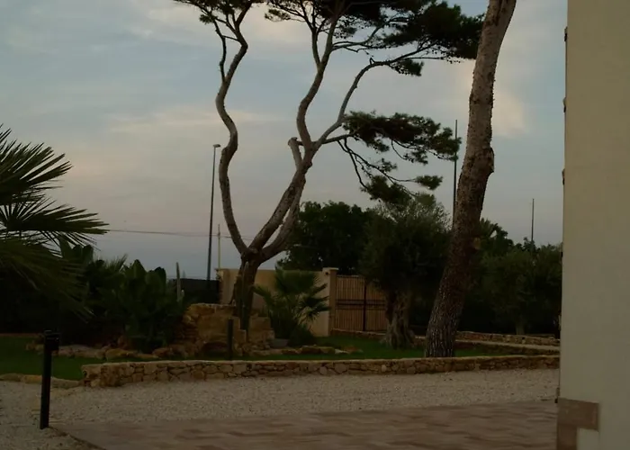 Albamonte * Carini